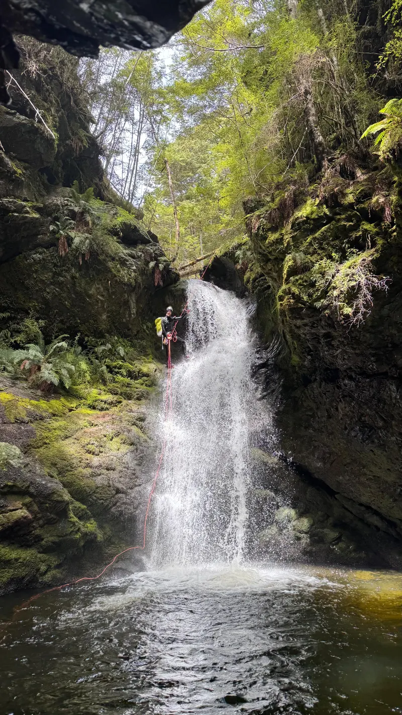 Pass Burn, Greenstone Valley, Nieuw-Zeeland